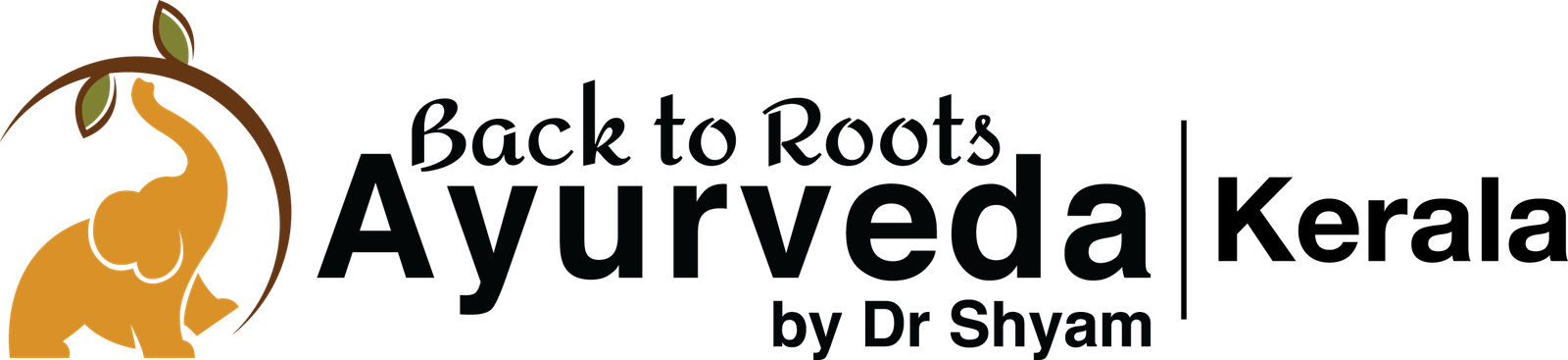 Back to Roots Ayurveda